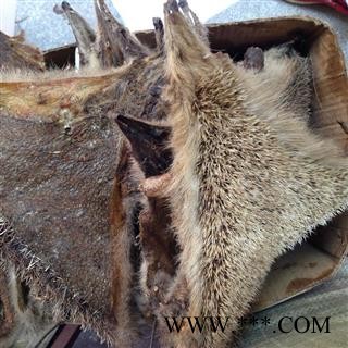 新辉药业中药材刺猬皮 猬皮 仙人衣图1