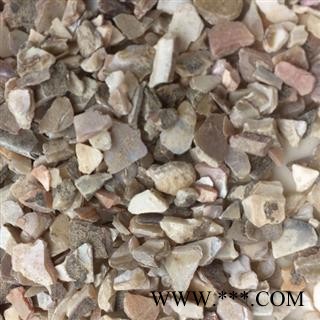 珍珠母 珍珠母统货 产地 浙江省中药材批发零售大全图2