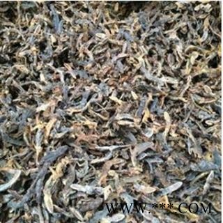 天龙 壁虎 守宫图2