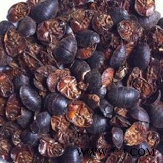 土鳖虫 土鳖虫大统货 产地 江苏省图2