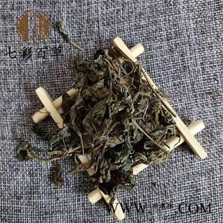 紫苏 苏叶  紫苏叶 产地 山东省图2