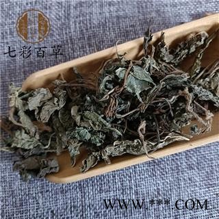 紫苏 苏叶  紫苏叶 产地 山东省图3