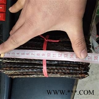 蜈蚣 大蜈蚣15.5公分 产地 海外图3