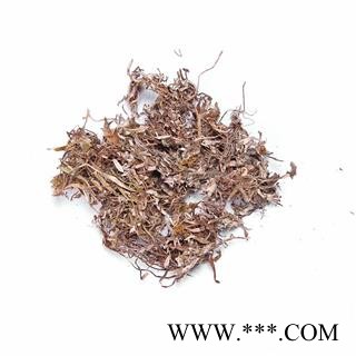 【冷偏奇】天青地白 毛女儿菜 清明草 父子草图2