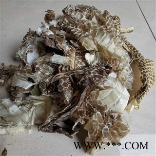 蛇蜕 蛇皮 龙衣 蛇退 长虫皮图3