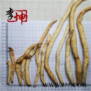 【包邮】川明参 大条选货 四川特产 明党参 川沙参【良心经营 品种齐全】图4