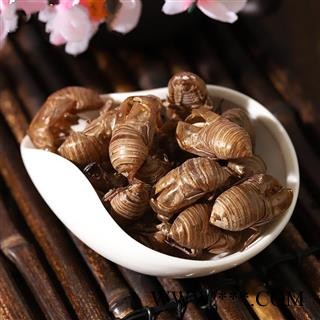 九盛堂中药材 蝉蜕  知了皮 金蝉衣 蝉衣 蝉退 蝉脱图2