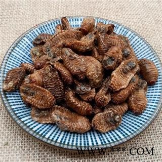 中药材 蛴螬 土蚕 老母虫 核桃虫 粪虫图3