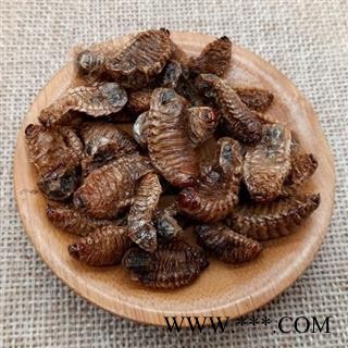中药材 蛴螬 土蚕 老母虫 核桃虫 粪虫图2