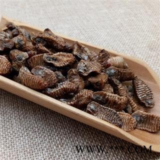 中药材 蛴螬 土蚕 老母虫 核桃虫 粪虫图4