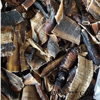 地龙 广地龙 产地 广西壮族自治区图2