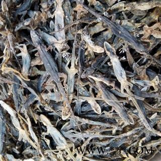 壁虎 国产  天龙 产地 安徽省图2