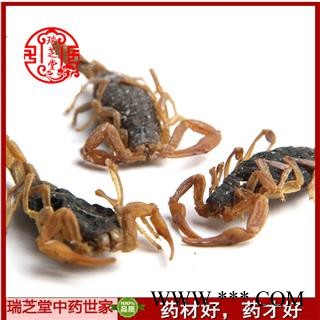 全蝎  宁夏甘肃清水全蝎付货  药典正品 中药材 瑞芝堂产地直供1000克 规格齐全 一站购齐图2