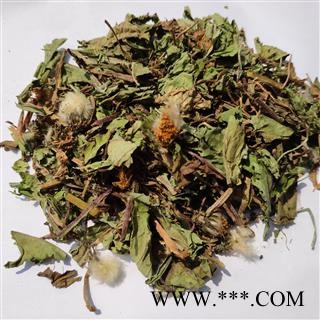 蒲公英 新货蒲公英 颜色纯好 产地直销 新店开 低价冲销量 产地 山东省图2