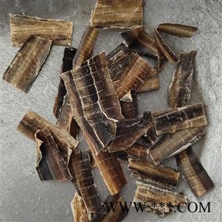 地龙 广地龙全开片 大片  产地 广西壮族自治区桂林市图3