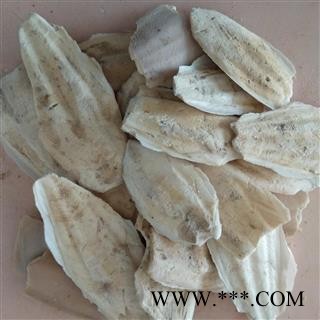 海螵蛸 海螵蛸小选货  8厘米 以上 产地 山东省日照市图2