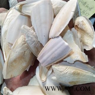 海螵蛸 海螵蛸小选货  8厘米 以上 产地 山东省日照市图4