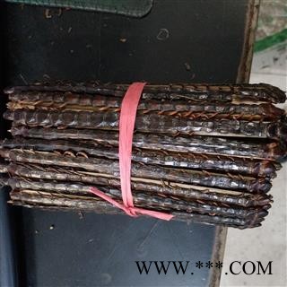 蜈蚣 大蜈蚣16.5公分 产地 海外图2