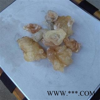 圣草康园雪燕 雪燕窝 植物燕窝图2