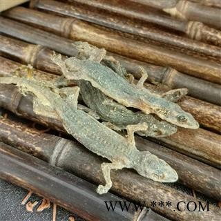 壁虎干 天龙 中药材 壁虎干天龙壁宫守宫图3