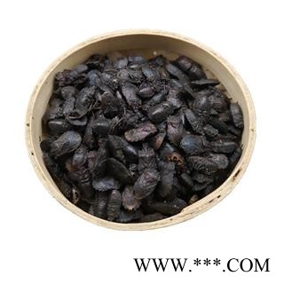 九香虫  黑兜虫 蜣螂虫 打屁虫 屁巴虫图4