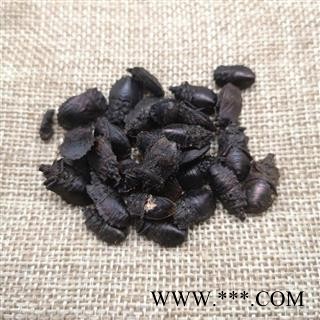 九香虫  黑兜虫 蜣螂虫 打屁虫 屁巴虫图2