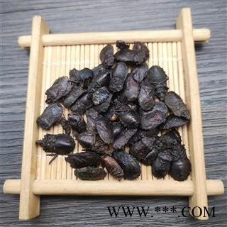 九香虫  黑兜虫 蜣螂虫 打屁虫 屁巴虫图3