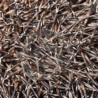 诺源药材行中药材刺猬针   刺猬皮 刺猬骨图2