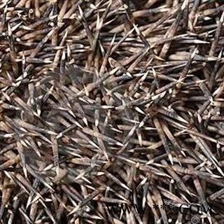 新辉药业刺猬针图2