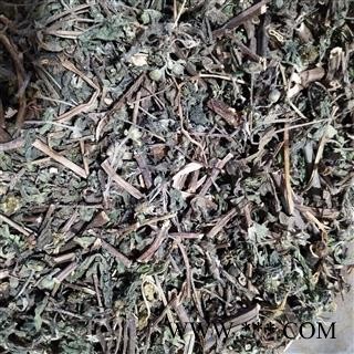 旱莲草 墨旱莲(旱莲草)选段 产地 山东省济南市市辖区图3