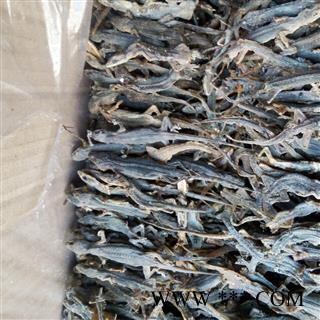 壁虎   天龙  国产 产地 安徽省图2