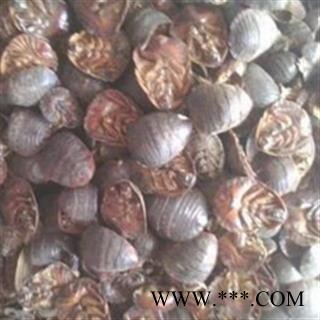 土元 土鳖虫水洗腹空大选货 产地 山东省图2