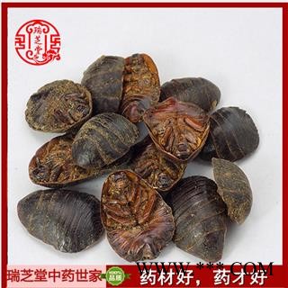 蟅虫统货 土鳖虫  中药材 瑞芝堂产地直销1000克图2
