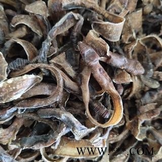 地龙 小地龙半开个 新货 无泥头 产地 广东省广州市图2