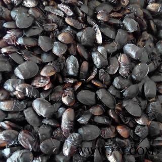 九香虫 九香虫清水晒干货 产地 山西省大同市图2