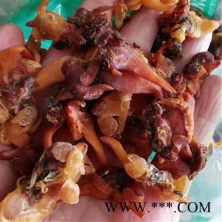 淡菜贻贝干淡菜海虹 生贻贝青口贝小海虹海珍贝类干品图2