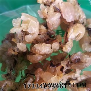 林蛙 林蛙油 统货图3