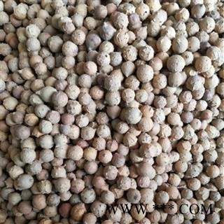 瑞森药材行没食子   墨石子 无食子 没石子 无石子 麻茶泽图2