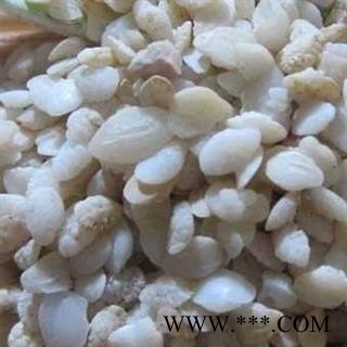 圣草康园大鱼脑石 选 鱼首石 石首骨 石首鱼图3