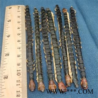 蜈蚣 大蜈蚣红头蜈蚣  蜈蚣12到13公图2