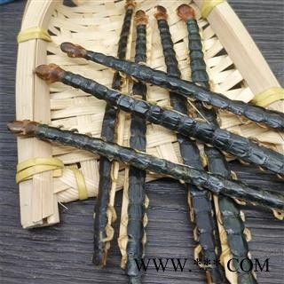 蜈蚣 大蜈蚣红头蜈蚣  蜈蚣12到13公图4