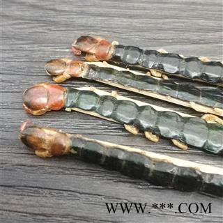 蜈蚣 大蜈蚣红头蜈蚣  蜈蚣12到13公图3