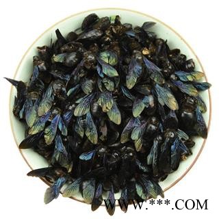 九盛堂中药材 乌竹蜂 乌蜂 熊蜂 象蜂 咸竹蜂虫图3