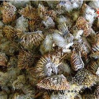 诺源药材行中药材刺猬皮 规格齐全图2