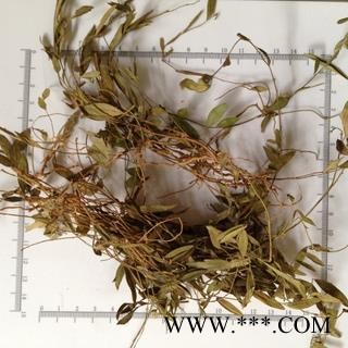 诺源药材行冷背中药材中草药瓜子金 神砂草 小远志草 惊风草 竹叶地丁图2