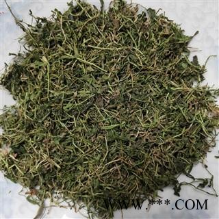 半边莲 半边莲统段 产地 湖南省株洲市市辖区图2