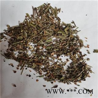 半枝莲 统 产地 河南省鹤壁市浚县图3