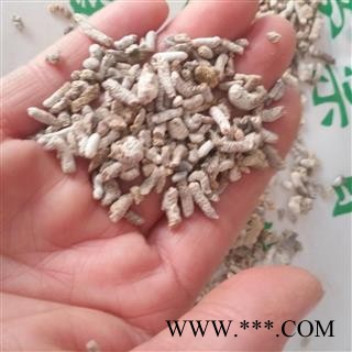 安祁名药中药材白丁香 雀苏 麻雀粪 白丁香图2