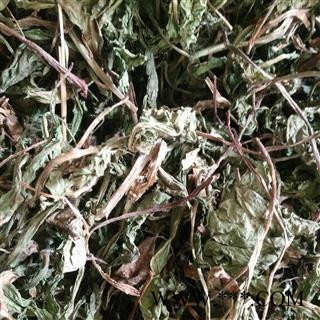 蒲公英 家种蒲公英绿色统货 产地 安徽省图3