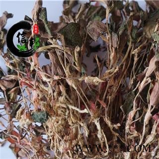 金线莲优质金线莲整株福建产地仿野生产地直销专注品质，诚信信邦！图2